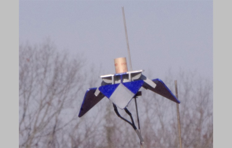 IMGP2206